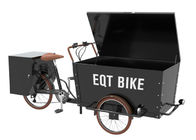 متعدد الوظائف دراجة ثلاثية العجلات البضائع الدراجة - شعار مخصص ودية