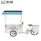 EQT 138L أو 110L تحميل أمامي دراجة ثلاثية العجلات الآيس كريم للمبيعات DC تعمل بالطاقة الفريزر دراجة ثلاثية العجلات الغذاء Trike