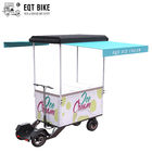 EQT Ice Cream Scooter 138 لتر فريزر شحن دراجة بيع الآيس كريم سكوتر كهربائي